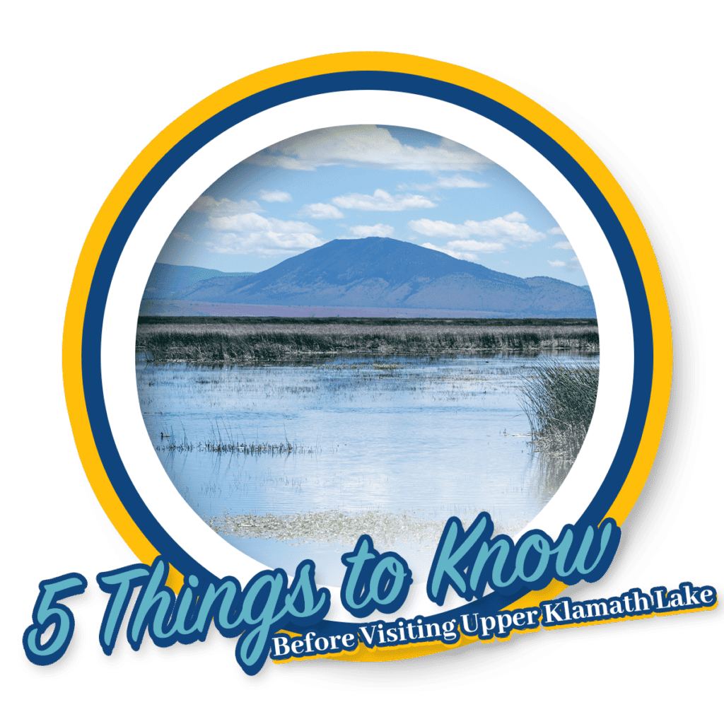 5ThingstoKnow